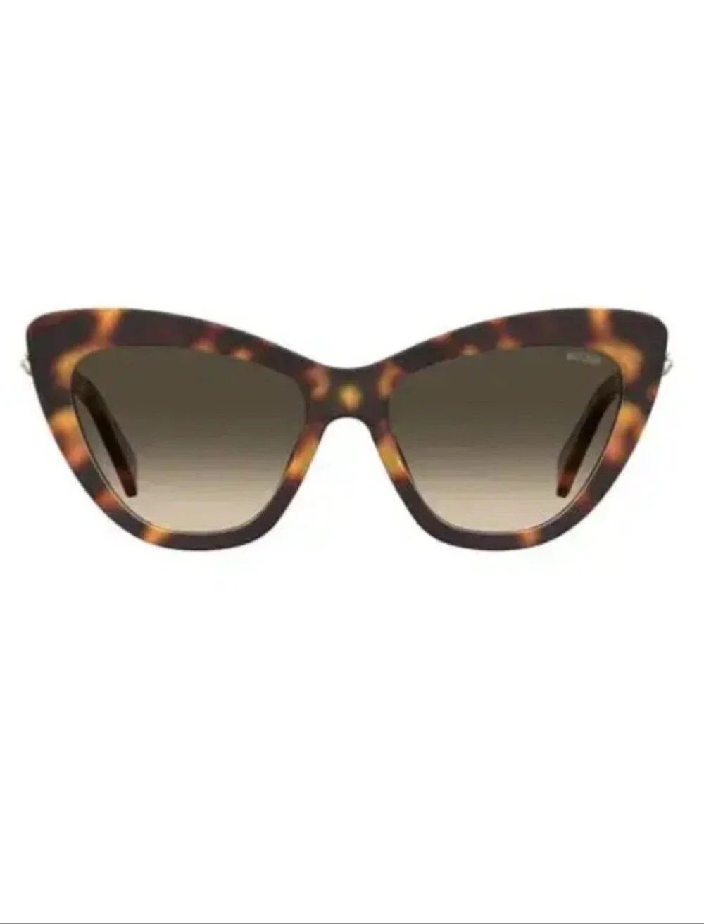 moschino Havana bear logo cateye sunglasses brown tortoise shell NWT